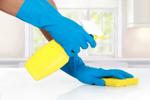 End of tenancy cleaning in a Chiswick rental property