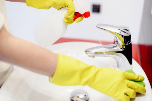 Deep carpet cleaning equipment used in a Chiswick home