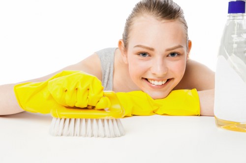 Final policy statement emphasizing safe and responsible cleaning