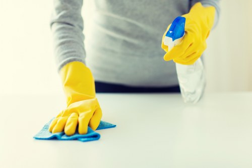 Kitchen cleaning during end of tenancy cleaning in Chiswick