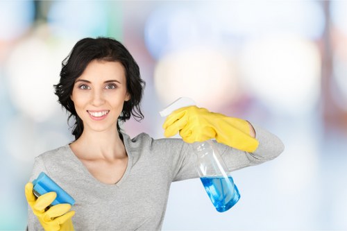 Professional cleaners in Chiswick servicing a local home