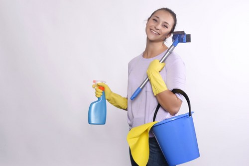 Local window cleaning service in Chiswick handling upper-floor windows
