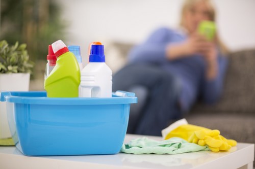 Experienced Chiswick cleaners maintaining a tidy interior