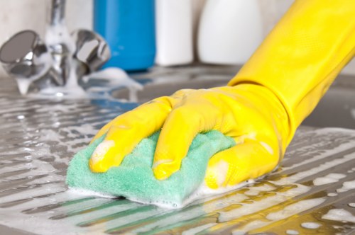 Bathroom sanitising by a home cleaner in Chiswick