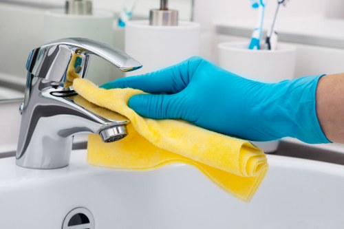 Professional cleaner working in a modern Chiswick property