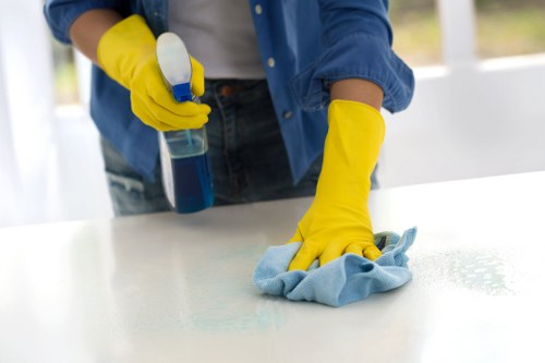 Local cleaners in Chiswick handling household cleaning tasks