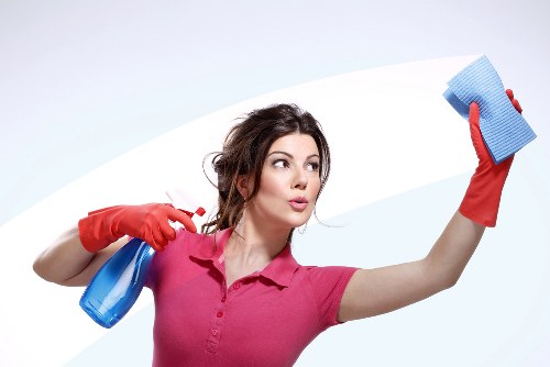 Professional cleaner working carefully in a home setting